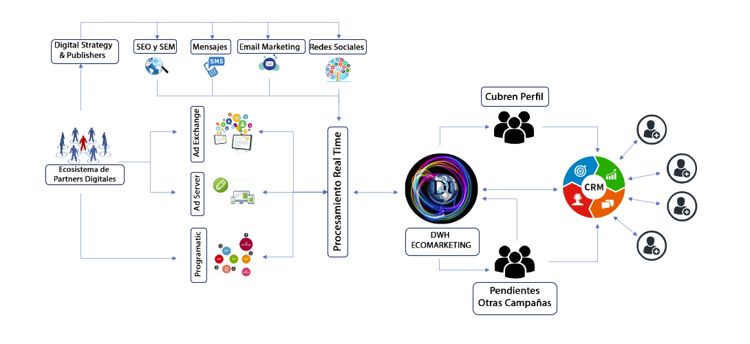 cropped-ECOSYSTEM-1.png